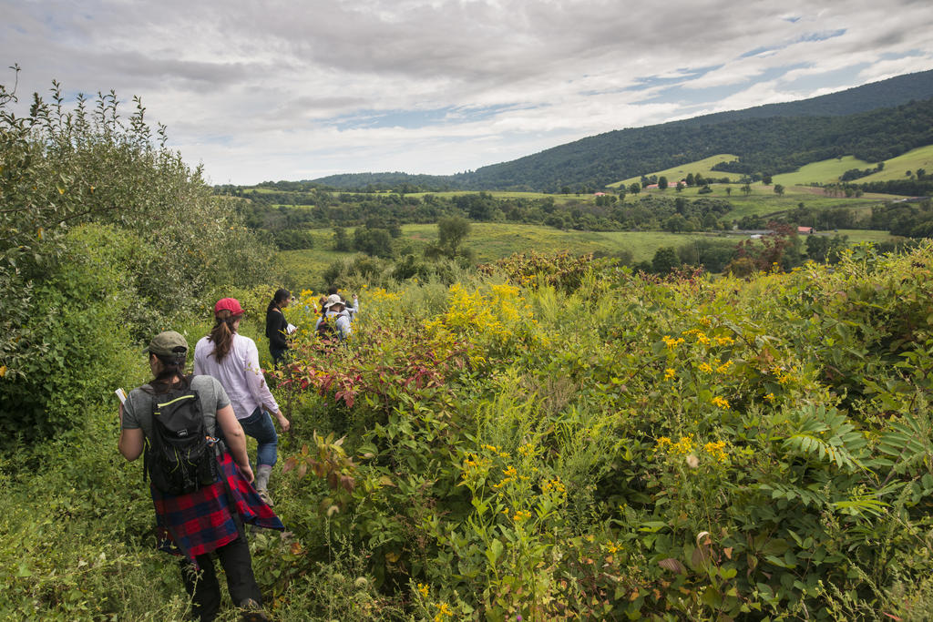 Students walk through a field at Smithsonian-Mason School of Conservation